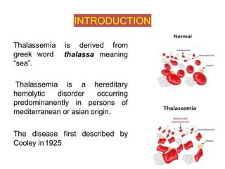 thalassemia word origin.